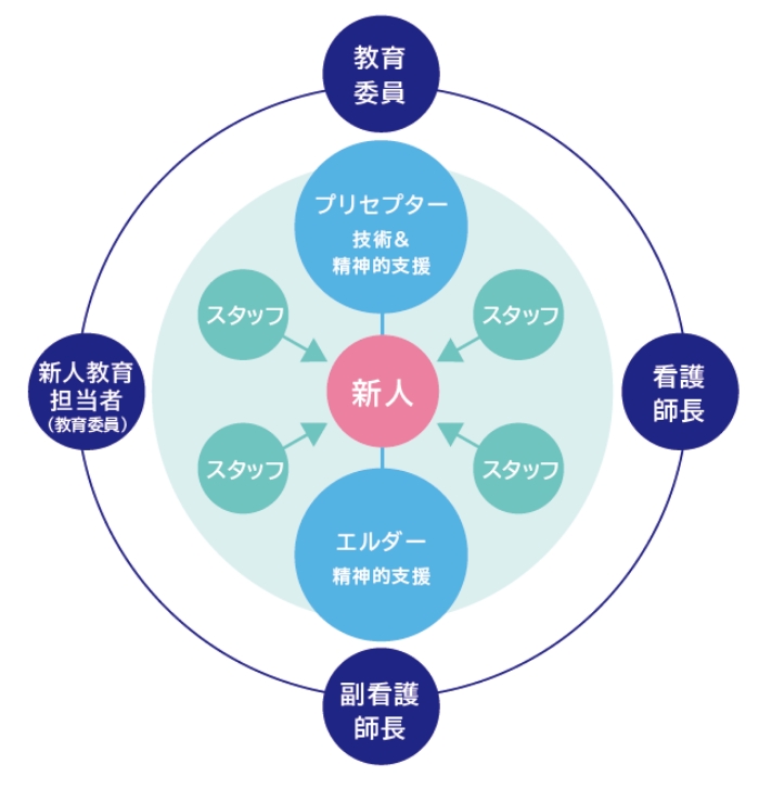 新人看護師教育体制
